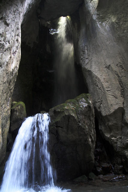 IMG_7407.jpg