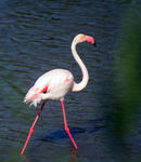 IMG_5773.jpg