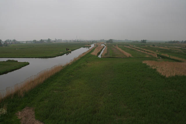 IMG_3395.jpg