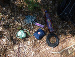 IMGP0135.jpg