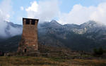 IMG_8339.jpg