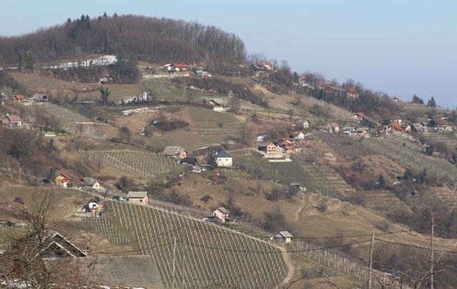 05.JPG