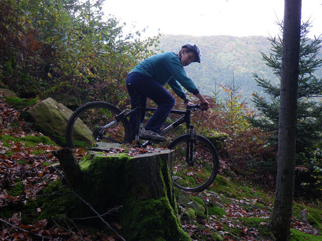 IMGP5240