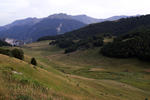 IMG_1571