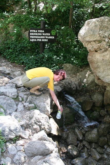 IMG_4544.jpg