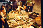 img0030.jpg
