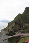 IMG_5382.jpg