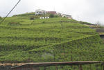 IMG_5489_1.jpg