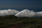IMG_5531.jpg