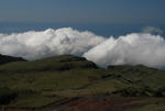 IMG_5534.jpg