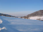 IMG_4278.jpg