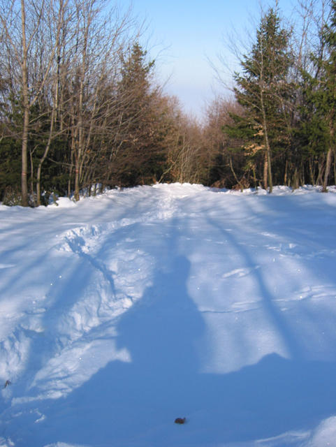 IMG_4365.jpg