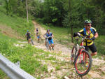 IMG_6741.jpg