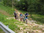 IMG_6742.jpg