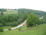 IMG_6746.jpg
