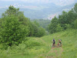 IMG_6751.jpg