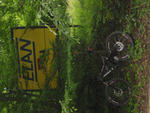 IMG_7331.jpg