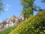 IMG_5992.jpg