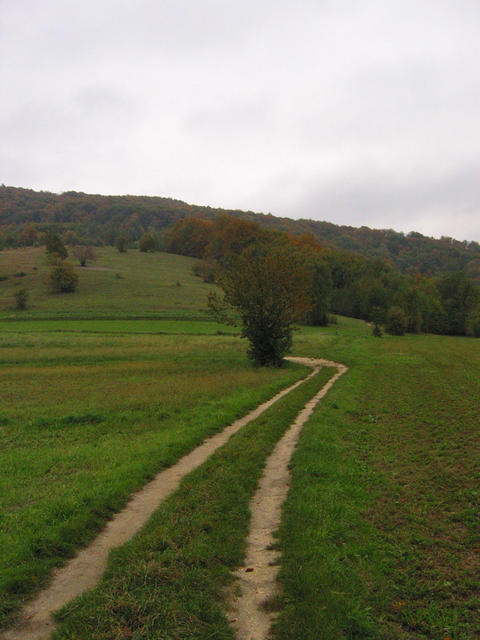 IMG_2405.jpg