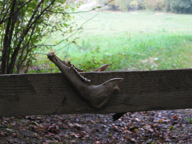 IMG_2413.jpg