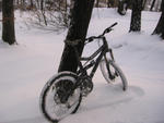 IMG_9756.jpg