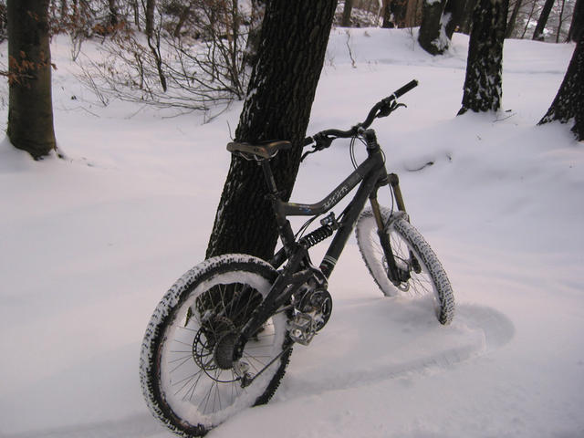 IMG_9756.jpg
