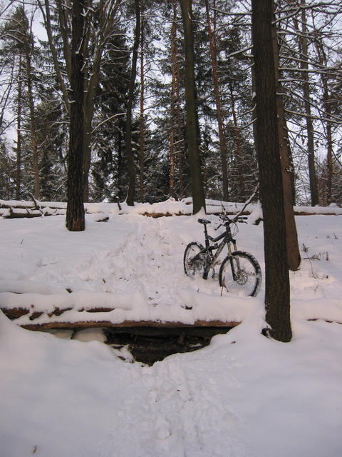 IMG_9760.jpg