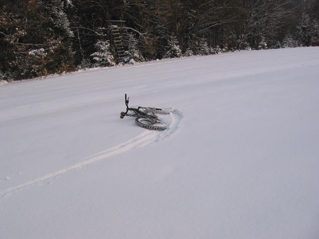 IMG_9761.jpg
