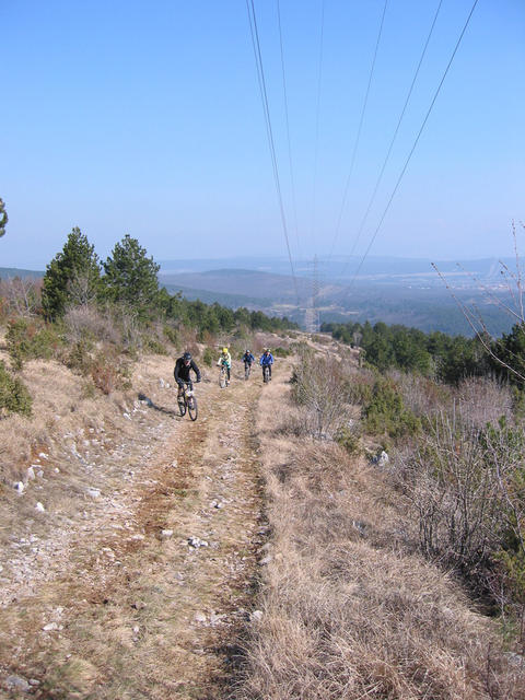 IMG_0236.jpg