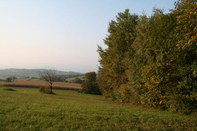 IMG_0815.jpg