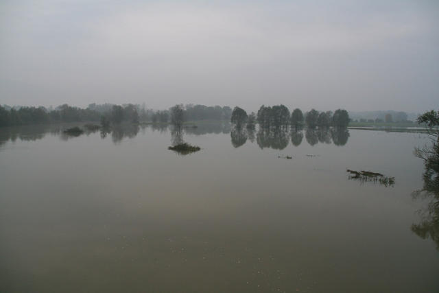 IMG_0387.jpg