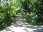 IMG_0653.jpg