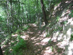 IMG_0661.jpg