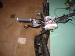 IMG_9888.jpg