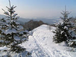 2005
