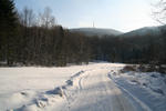 IMG_3331.jpg